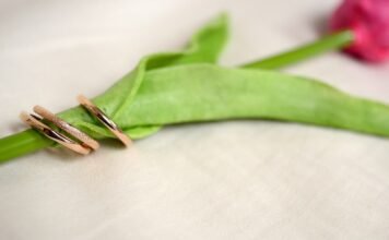 La alianza estratégica entre eléctricas y telecos: una nueva era de convergencia empresarial green leaf on white textile