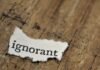 El arte de la ignorancia fértil: cuando la comedia filosófica desafía nuestra forma de pensar text