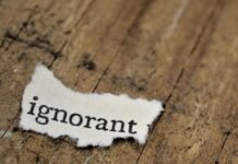 El arte de la ignorancia fértil: cuando la comedia filosófica desafía nuestra forma de pensar text
