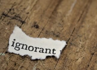 El arte de la ignorancia fértil: cuando la comedia filosófica desafía nuestra forma de pensar text