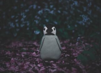Alice Pinguet llega al Valencia Femenino: un fichaje estratégico que refuerza el proyecto valencianista hasta 2027 grey penguin plush toy