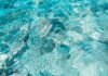 El Agua en España: Un Recurso Estratégico que Demanda Inversión Urgente y Transformación Tecnológica a close up of a pool with clear blue water