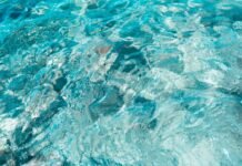 El Agua en España: Un Recurso Estratégico que Demanda Inversión Urgente y Transformación Tecnológica a close up of a pool with clear blue water