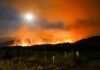 Tragedia en Los Gallardos: El incendio más devastador del siglo XXI en España deja doce muertos y decenas de desaparecidos green grass field under blue sky during daytime
