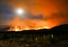 Tragedia en Los Gallardos: El incendio más devastador del siglo XXI en España deja doce muertos y decenas de desaparecidos green grass field under blue sky during daytime