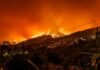Tragedia en Almería: El incendio forestal que cobró doce vidas y reabre el debate sobre la gestión de emergencias en España burning building at nighttime