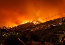 Tragedia en Almería: El incendio forestal que cobró doce vidas y reabre el debate sobre la gestión de emergencias en España burning building at nighttime