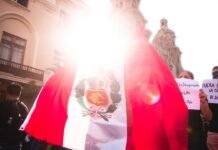 Estado Garante vs. Estado Gestor: El Debate que Redefine los Servicios Públicos del Siglo XXI man in red and white shirt