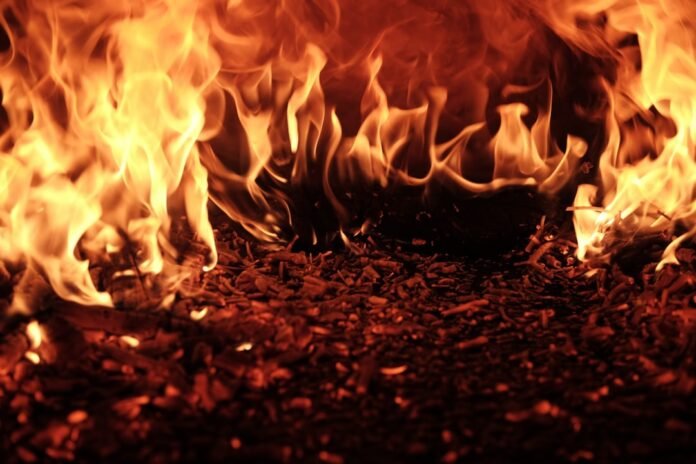 image_1785513635063 red flame