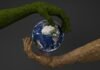 Ingenio: 25 años construyendo el ecosistema emprendedor que transformó a Uruguay en referente regional de innovación Two hands are holding a small earth globe