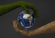 Ingenio: 25 años construyendo el ecosistema emprendedor que transformó a Uruguay en referente regional de innovación Two hands are holding a small earth globe