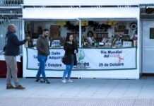 El agosto madrileño se llena de tradición: fiestas patronales, procesiones y celebraciones populares en más de diez municipios People browsing a market stall with books and crafts.