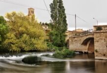 Tiroteo en el entorno del Puente de la Barqueta en Sevilla: Un herido de bala en la pierna en un nuevo incidente de violencia urbana a river running through a lush green forest