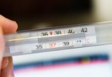 Wordle en Español: La Fiebre del Juego de Palabras que Conquista a Millones de Hispanohablantes white thermometer at 36 degrees celsius