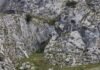 Andrés Roca Rey cierra la temporada taurina en La Maestranza con un festival benéfico histórico el 4 de octubre a rocky cliff side