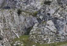 Andrés Roca Rey cierra la temporada taurina en La Maestranza con un festival benéfico histórico el 4 de octubre a rocky cliff side