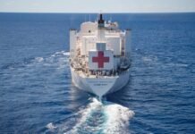 Ceuta y la Gestión de Crisis Migratorias: Cuando la Inteligencia y la Respuesta Institucional se Ponen a Prueba A large white hospital ship sails on the ocean