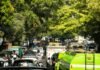 Crisis de verde urbano en España: cuando el asfalto gana la batalla al clima Heavy traffic jam with many cars