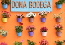 DORA III: El ambicioso plan de 4.477 millones que transformará Barajas en el gran hub europeo del siglo XXI Colorful potted flowers displayed on an orange wall