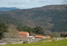 Médicos rurales en España: los guardianes silenciosos de la salud que forjaron generaciones Red-roofed houses nestled in a forested mountain valley