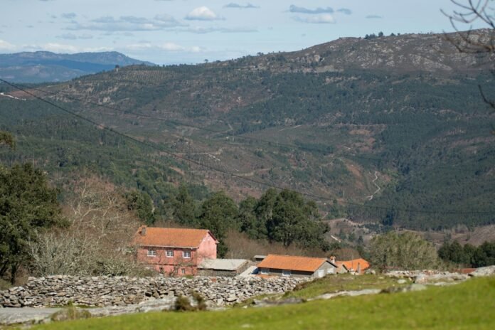 Red-roofed houses nestled in a forested mountain valley