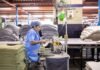Formación empresarial en España: cómo la inversión en capital humano define la competitividad sectorial A factory worker operates a machine