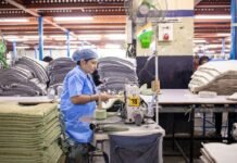 Formación empresarial en España: cómo la inversión en capital humano define la competitividad sectorial A factory worker operates a machine