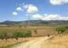 El Camino Inglés: La Ruta Jacobea que Mira Hacia el Atlántico y Conquista Irlanda a couple of people walking down a dirt road