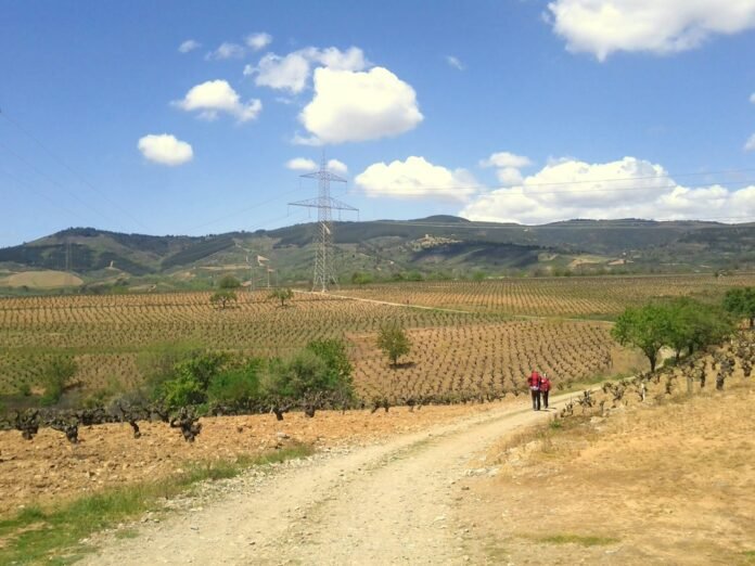 a couple of people walking down a dirt road