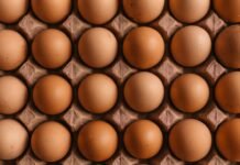 Salmonella en huevos frescos: alerta sanitaria en España deja al menos 13 intoxicados y obliga a la retirada del producto A grid of brown chicken eggs in a molded cardboard carton