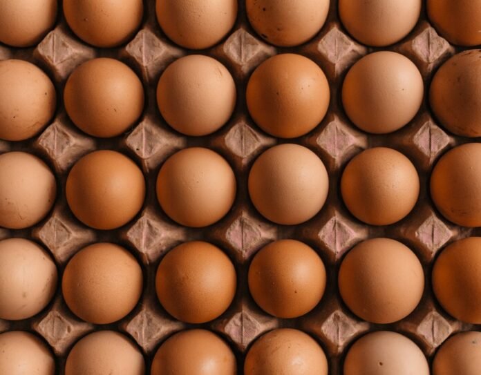 A grid of brown chicken eggs in a molded cardboard carton