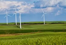 Combustibles Renovables: La Apuesta Pragmática de los Españoles para un Transporte Más Sostenible white windmill