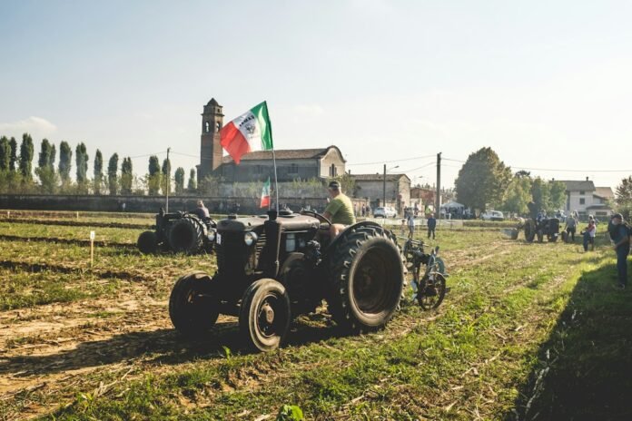 image_1793271636241 black tractor on green grass field during daytime